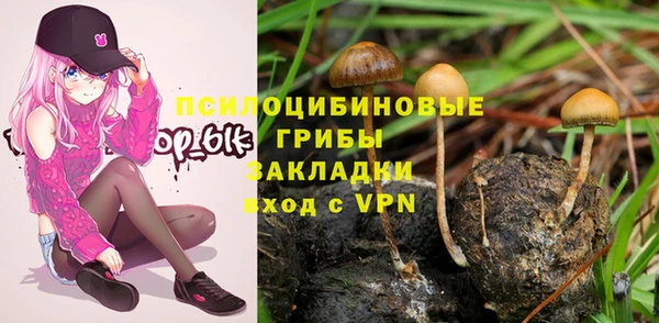 бутират Алзамай